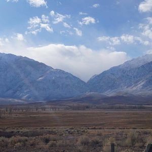 Meet your Posher, Ebonique